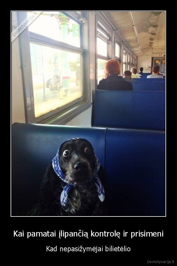 bilietas,kontrole