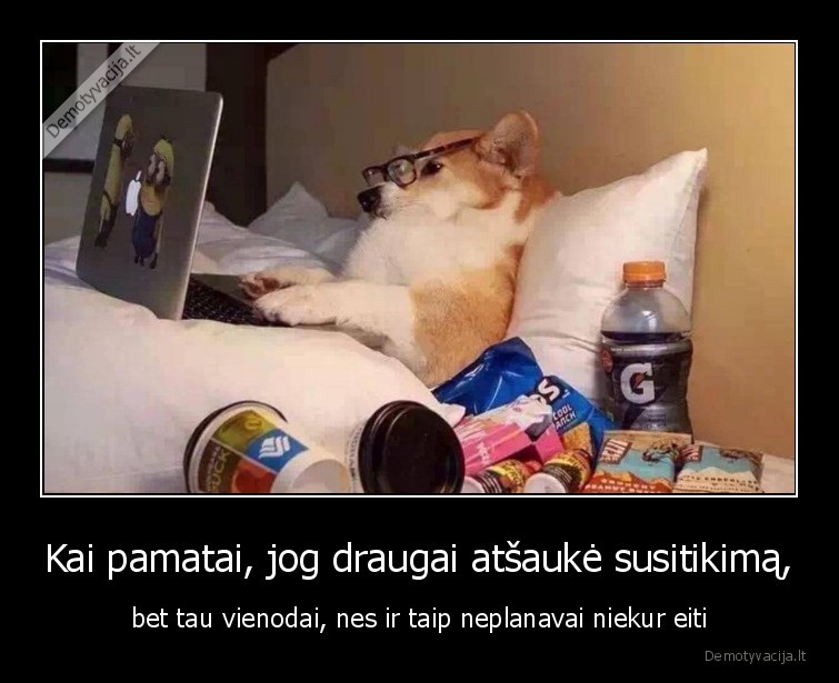 draugai,susitikimas