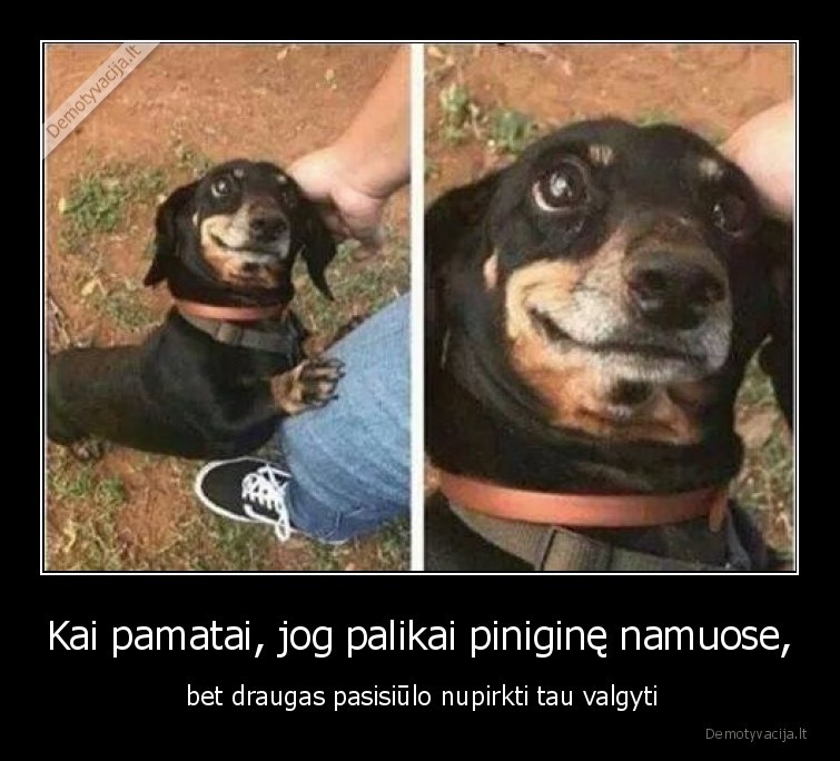 draugas,pinigine,maistas,draugai