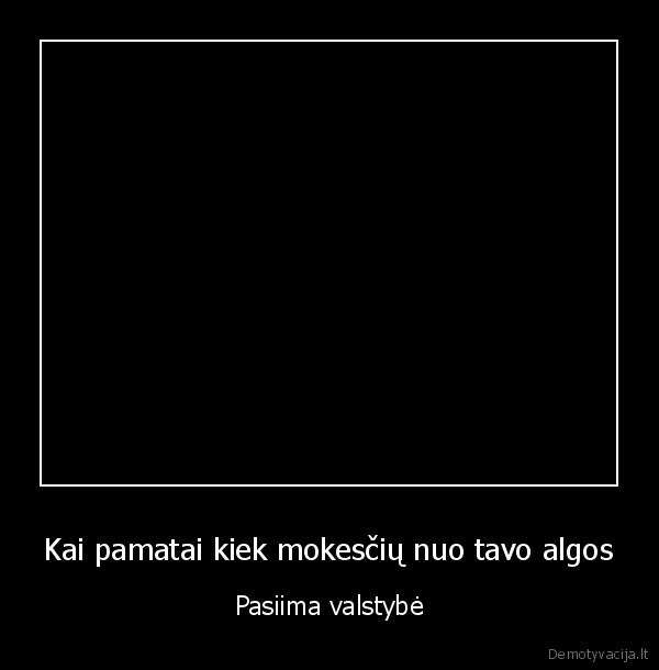 katinas,taupykle,vmi