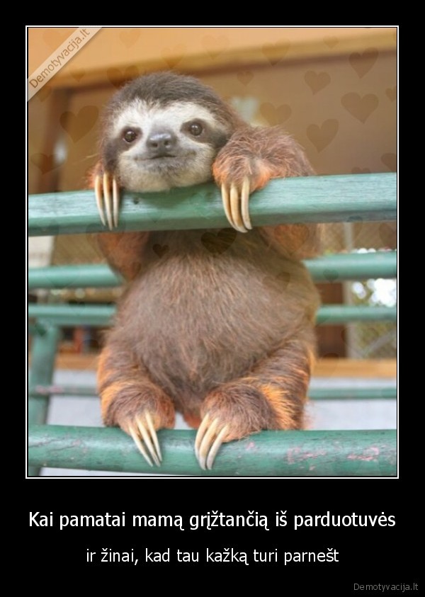 Kai pamatai mamą grįžtančią iš parduotuvės