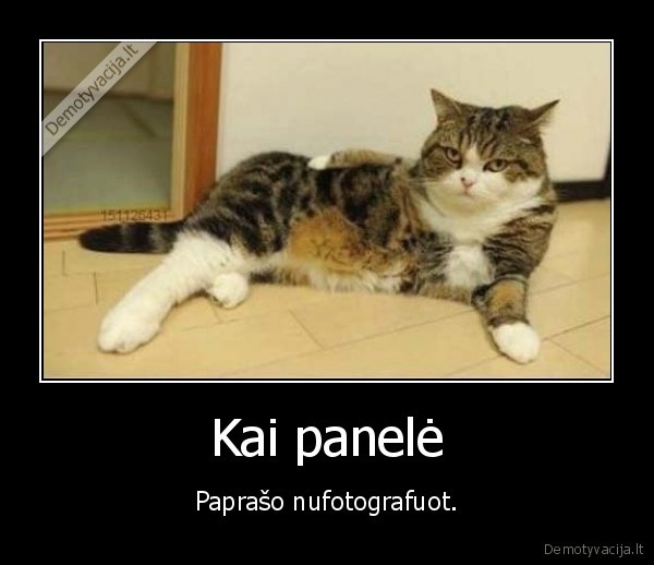 fotografuot,foto,nuotrauka,nufotkint