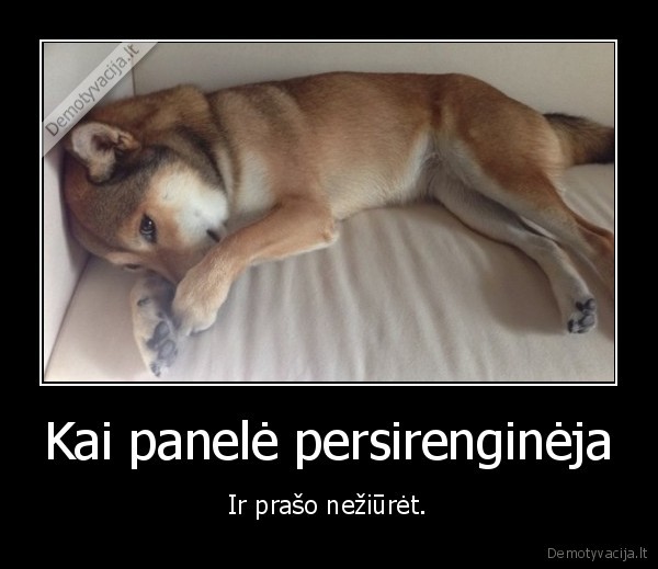 panele,nuoga,persirengineja