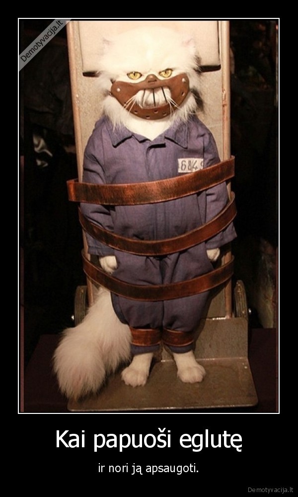 eglute,katinas,hanibalas, lekteris