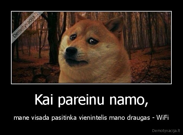 wifi,draugas,pasitinka