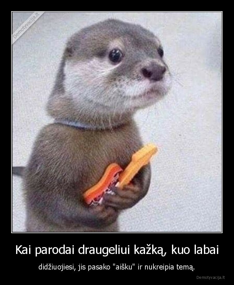 draugelis,tema,dalykas