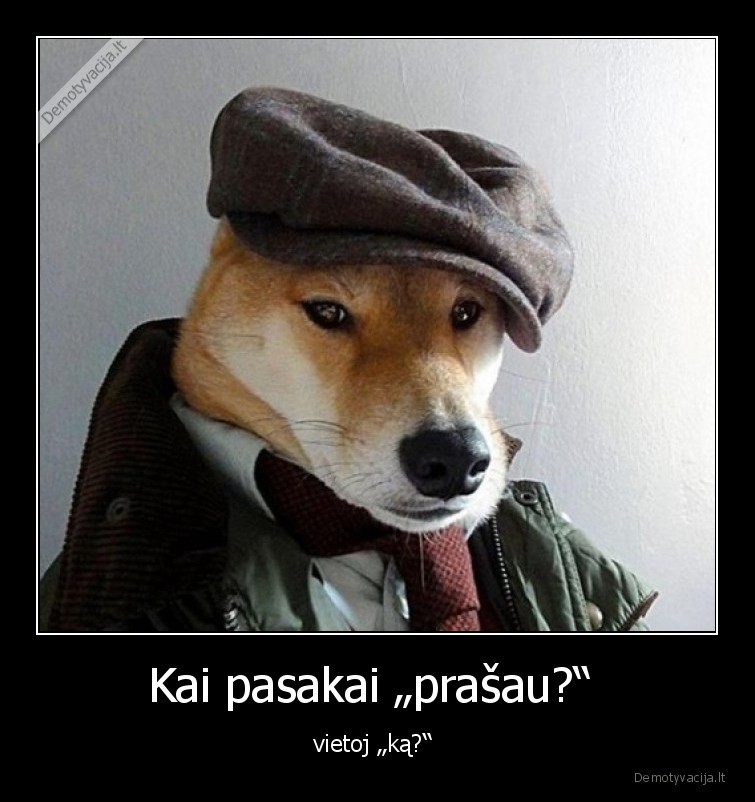 inteligentas,prasau,ka,suo