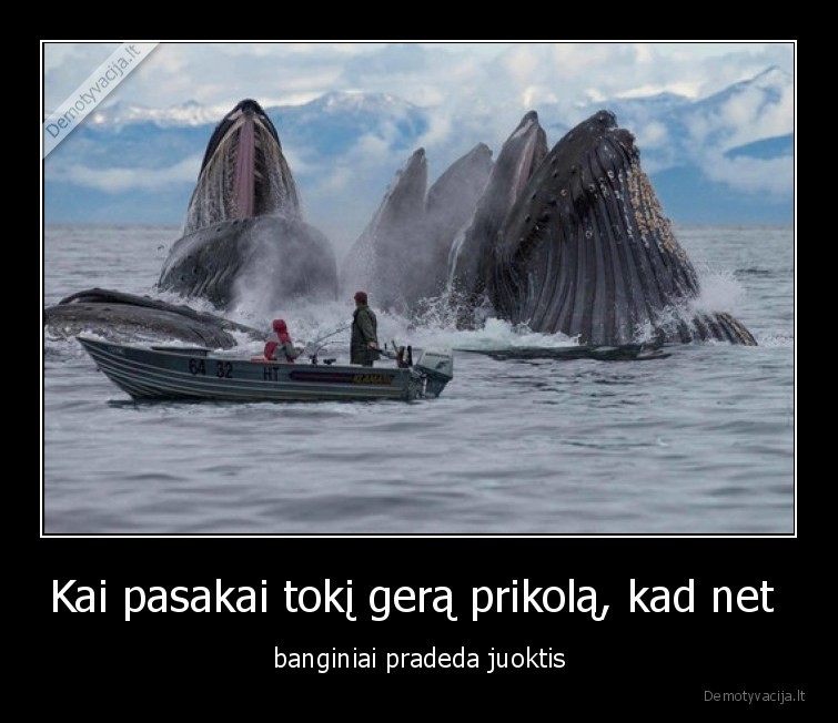 banginiai,prikolas,juokinga,juokiasi,jura