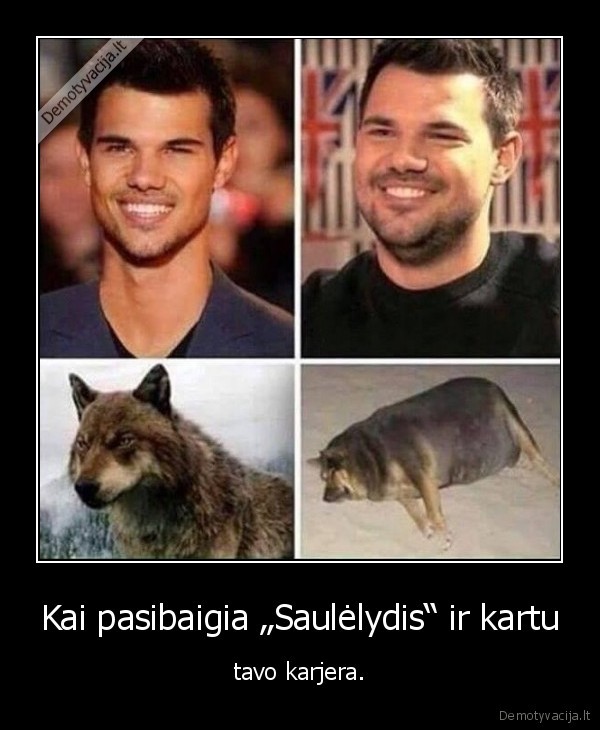 saulelydis,twilight,vilkas,storas, suo