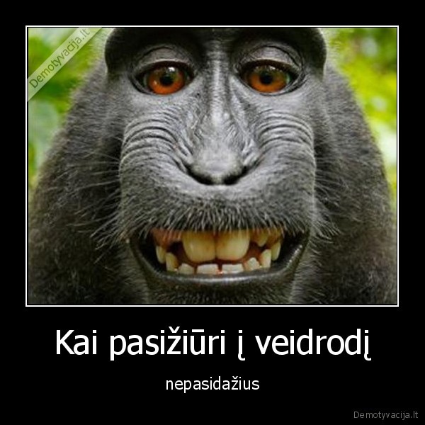 Kai pasižiūri į veidrodį