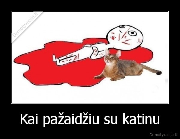 Kai pažaidžiu su katinu