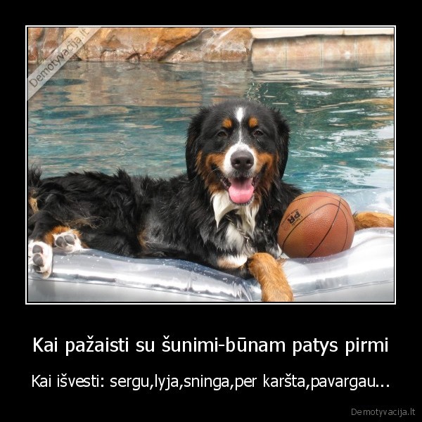 zmones, sunys, tinginiai