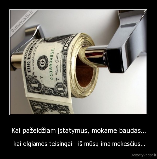 pinigai,mokesciai,politika