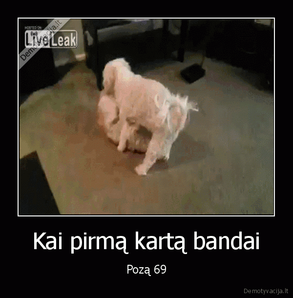 69, poza,juokingi, sunys
