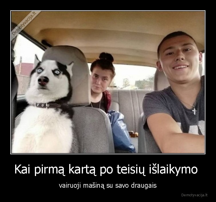 vairavimas,baisu,teises,masina