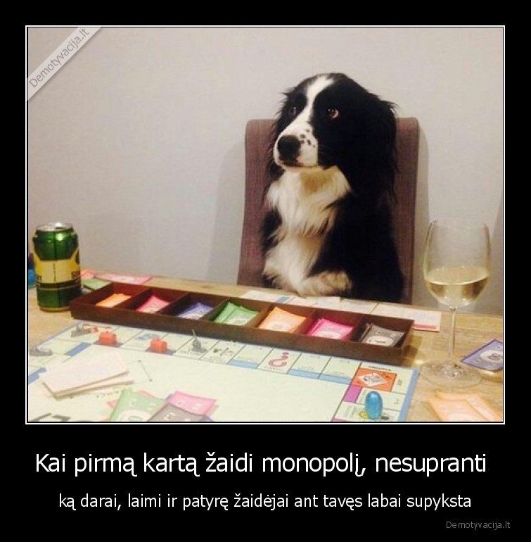 monopolis,naujokas,zaidimas,sekme