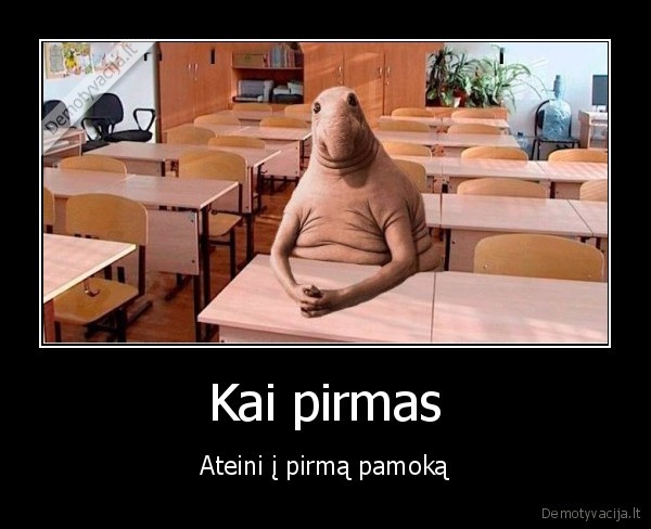 mokykla,pirma, pamoka