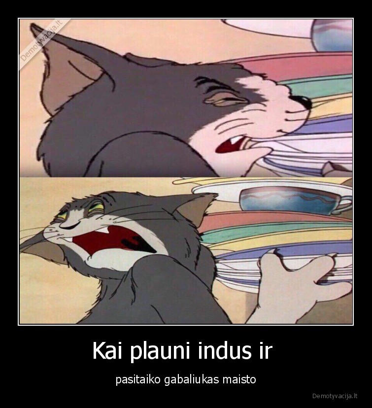 maistas,slykstu,indai,nesiplauna,patys