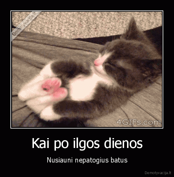 juokingas, kaciukas,mielas, kaciukas,batai