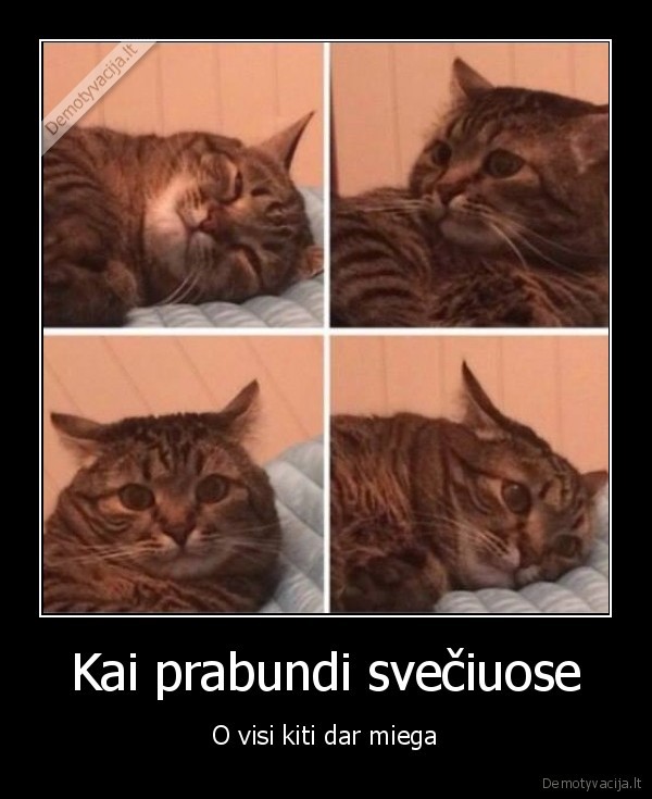 sveciai,miegas,nesinori, miego