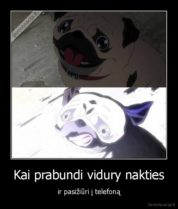 telefonas,ziureti,naktis