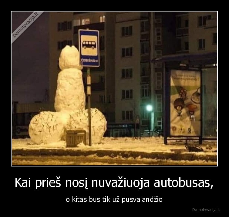 prisnigo,penis,sniegas