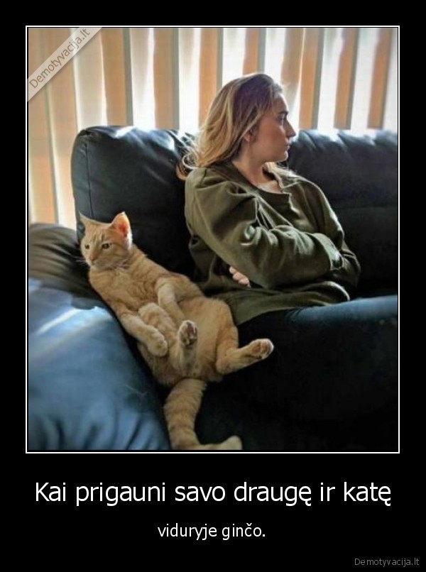 drauge,kate,katinas,gincas