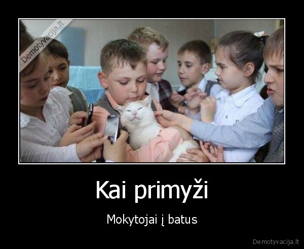 kietas, katinas,klasiokai