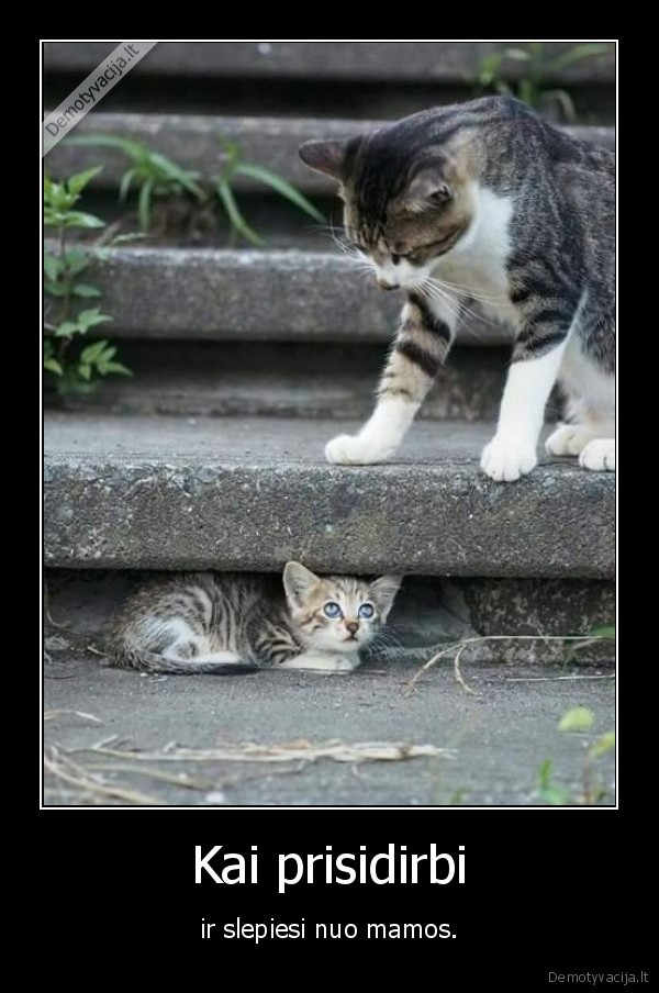 kate,katinas,kaciukas,mama