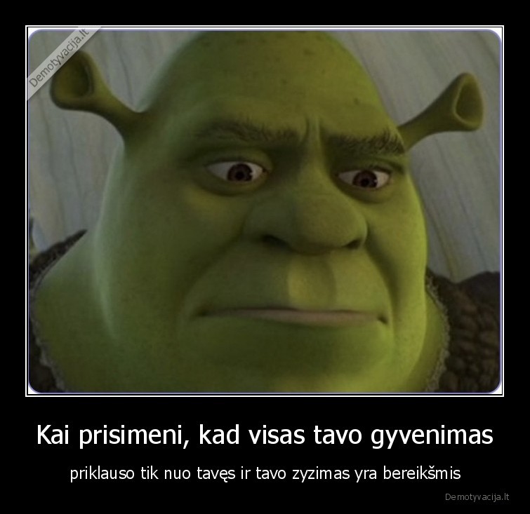 shrek,gyvenimas,susimastai