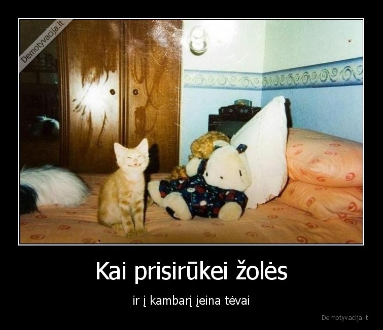 zole,420,katinas,tevai