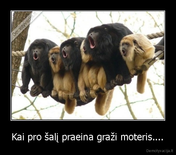 Kai pro šalį praeina graži moteris....