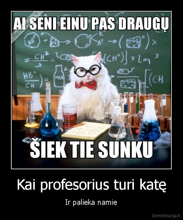 Kai profesorius turi katę