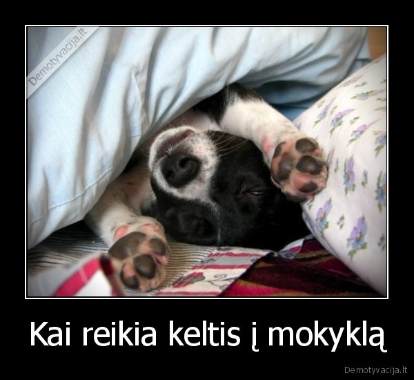 Kai reikia keltis į mokyklą