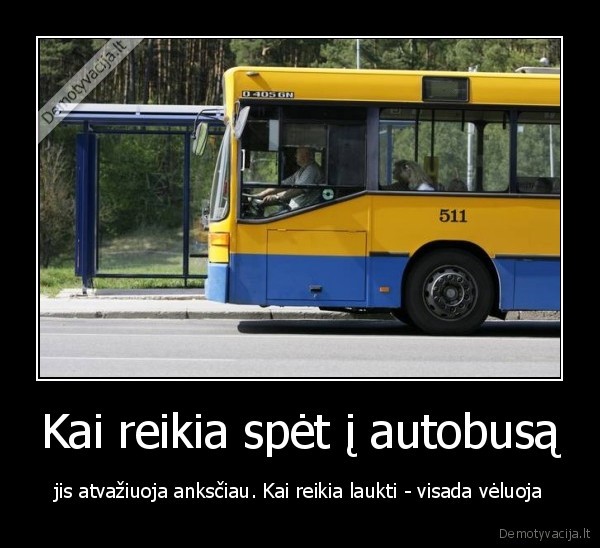 zapadlo,autobusas