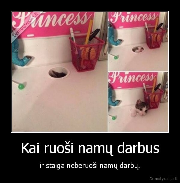 namu, darbai,kaciukas,katinas