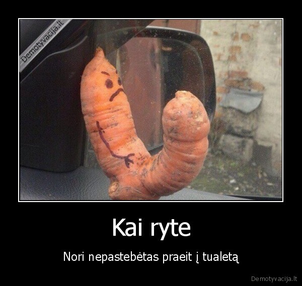 stajakas,palapine, stovi