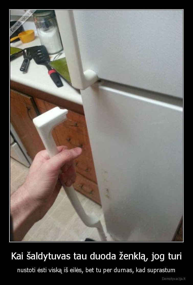 Kai šaldytuvas tau duoda ženklą, jog turi