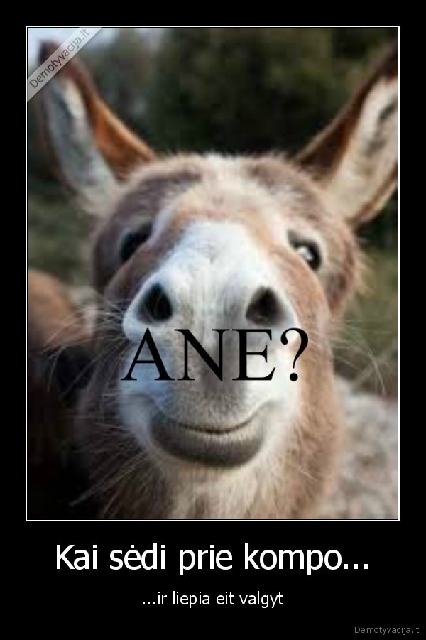 Kai sėdi prie kompo...