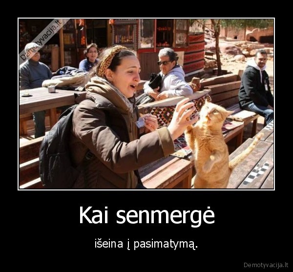 senmerge,katinas,kate,pasimatymas