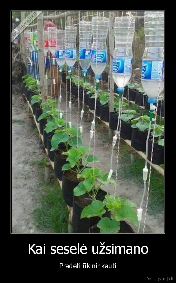 ukis,ukininke,lasalines