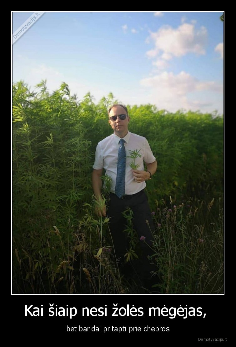 veryga,kanapes,zole,420