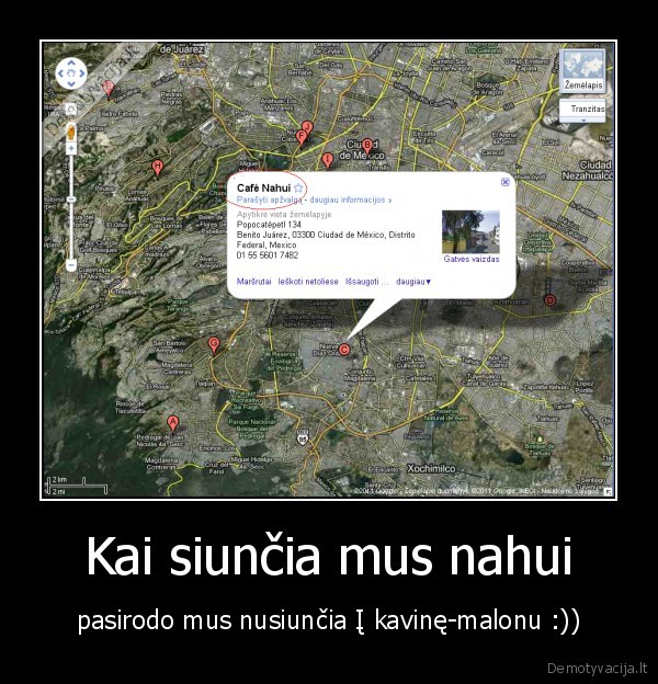 nx,siuncia, pasirodo, ir, i, kavine, malonu, 