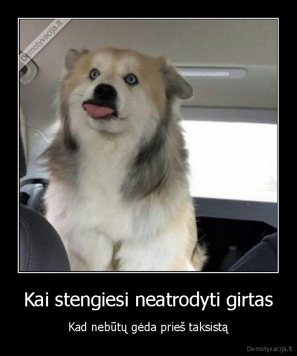 taxi,uber,girtas, keleivis