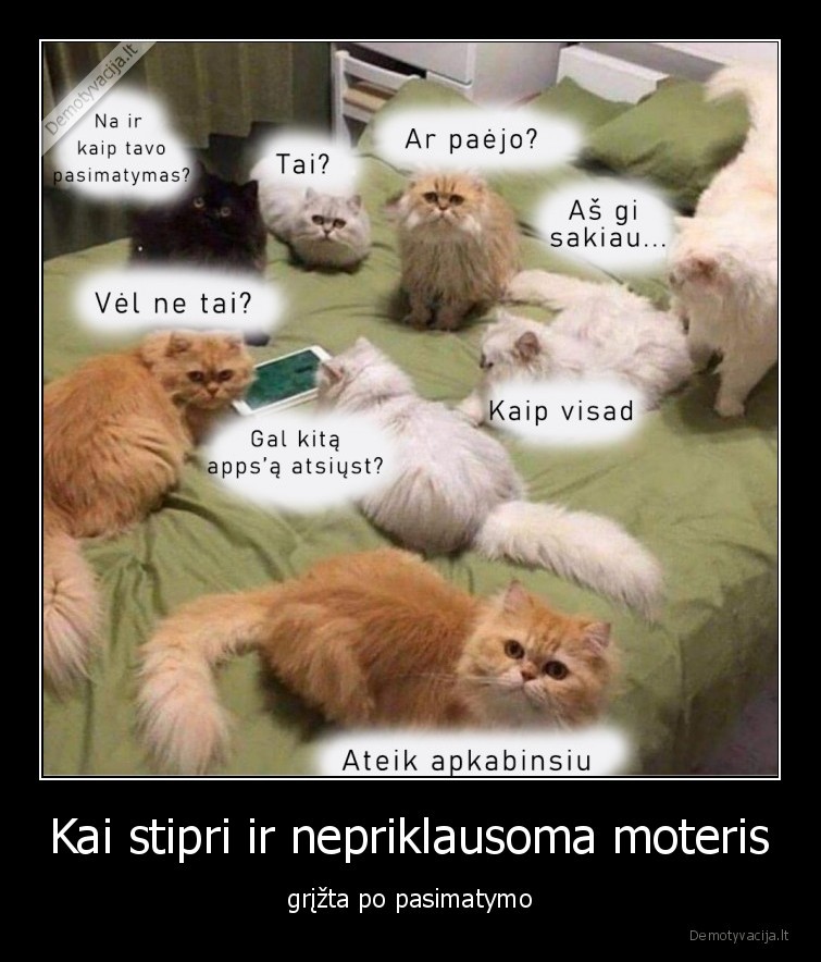 pasimatymas,katinai,vienisumas