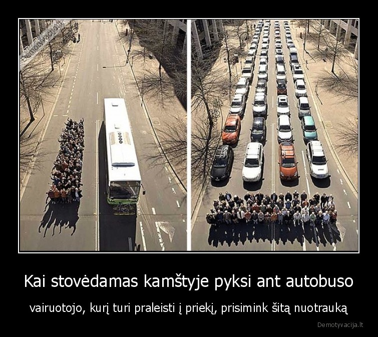 autobusas,masinos,kamsciai