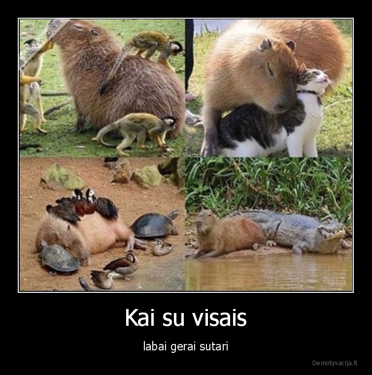 sutarti,su,visais,gyvunai