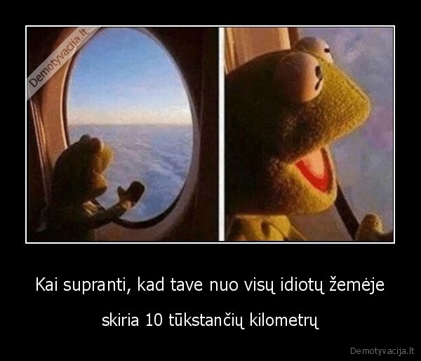 skrydis, lektuvu,idiotai