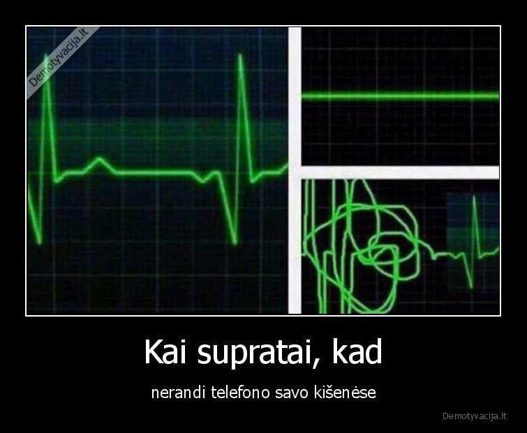 telefonas,dingo,kisenes,pulsas