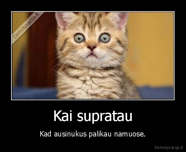 nustebes,katinas,ausinukai